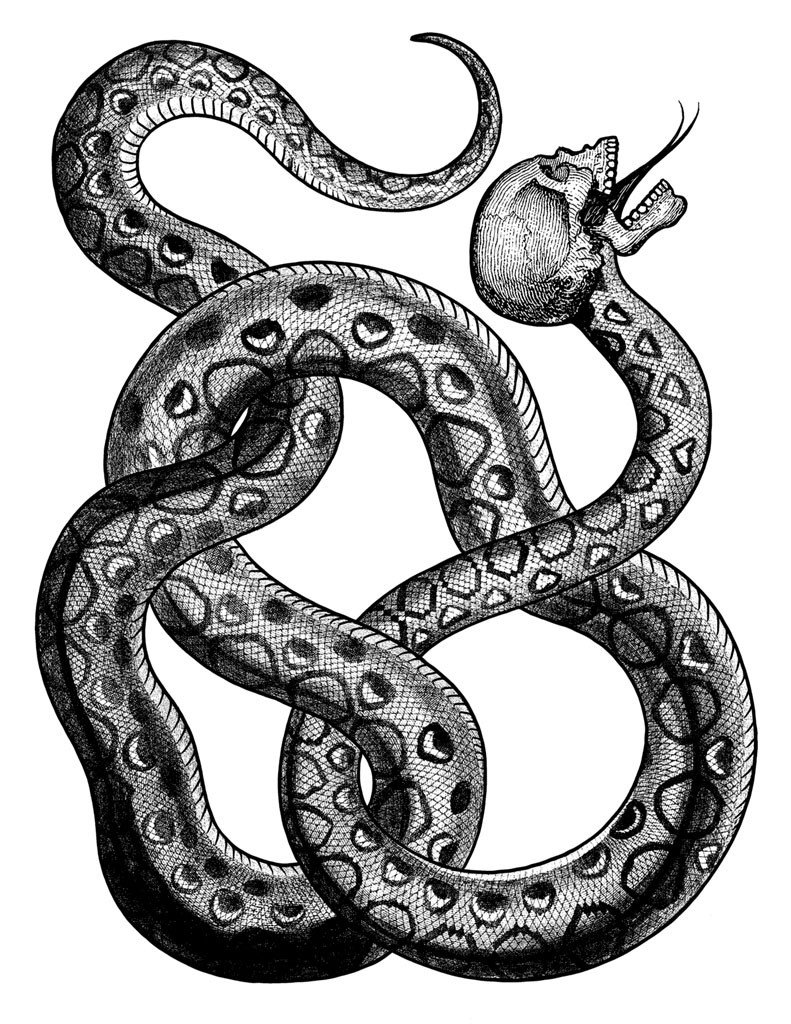 Serpent Skull