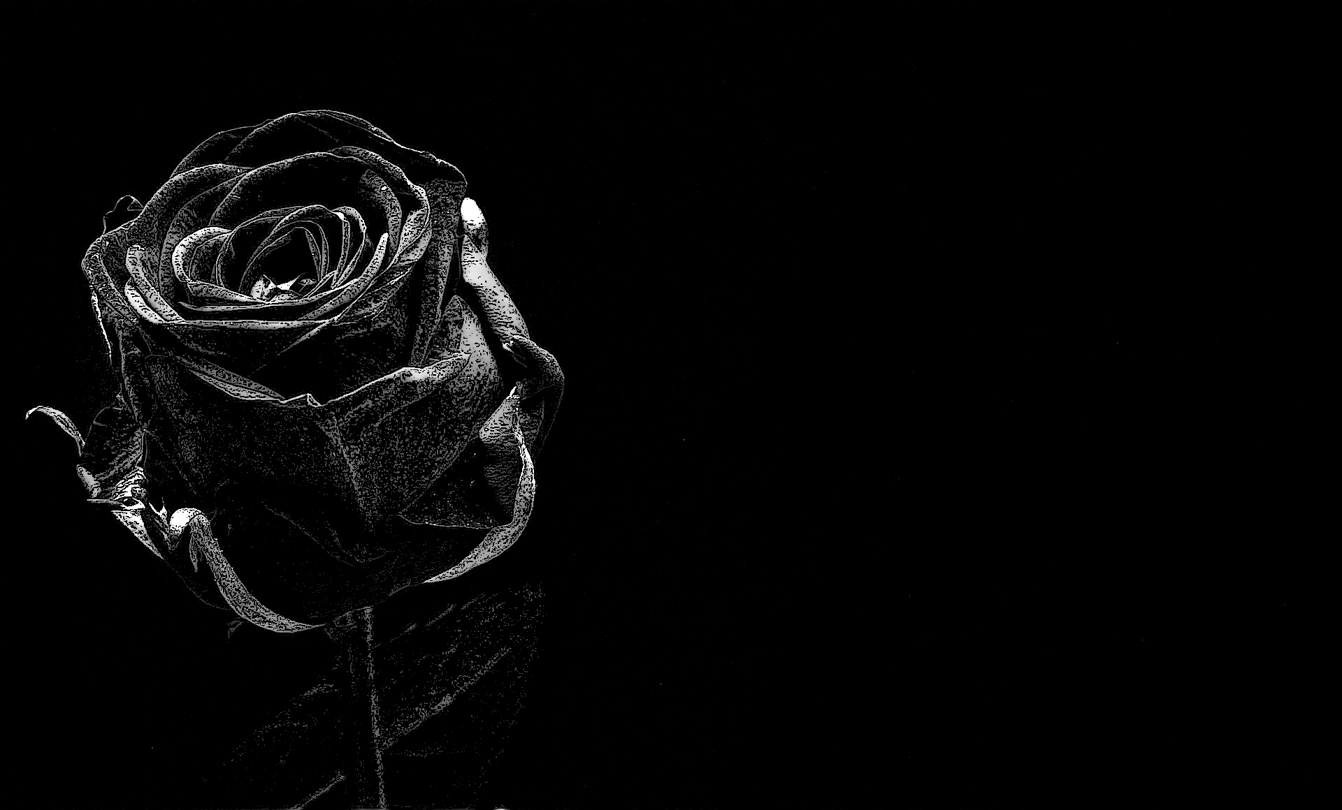 [D&D5] Роза для Талакары #3